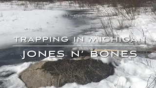 Beaver & Bobcat Trapping in Michigan