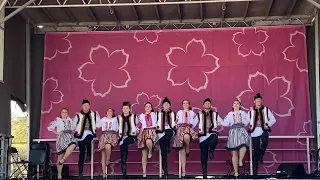 Жок / Молдавський танок Carpathia Folk Dance 7 квітня 2024