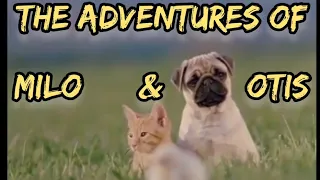 The Adventures Of Milo & Otis Full Movie