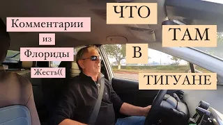 Что  в Тигуане?Флоридская деградация.Кто учавствует?