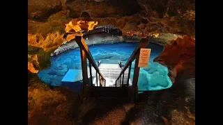 Discover Devil's Den Cave in Williston, Florida