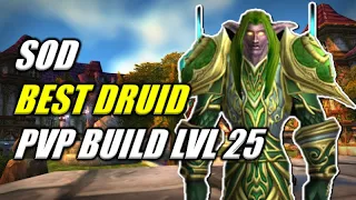 The BEST PVP Druid Build Season of Discovery LVL 25
