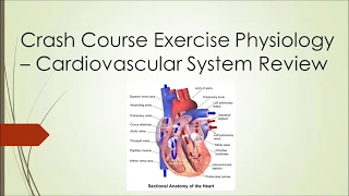 Exercise Physiology Crash Course - Episode 2 Cardiovascular Review