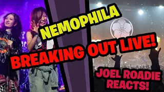 Nemophila - Breaking Out Live - Roadie Reacts