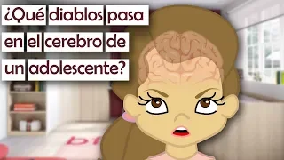 los Cambios Neurológicos que Hacen un Infierno de la Adolescencia