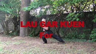 Kung fu Hung Gar forme Lau Gar