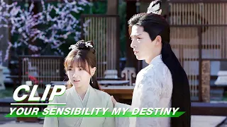 Clip: Ups And Downs Is The Real World | Your Sensibility My Destiny EP17 | 公子倾城 | iQiyi