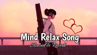 Mind Relaxing Lofi Mashup Feel songs || Slowed & Reverb || Best Song Mashup 2024 || 2024 | Lofi Boys