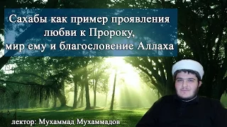 "Сахабы как пример проявления любви к Пророку, мир ему и благословение Аллаха". Мухаммад Мухаммадов