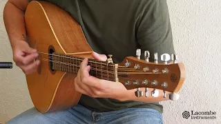 Cittern / 10 string mandocello
