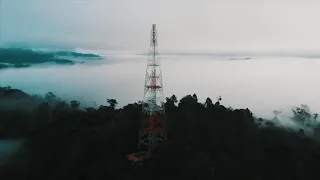 Danum Valley Ancient Tropical Forest | Sabah Malaysia