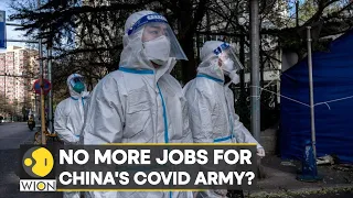 No more jobs for China's Covid Army? China lifts curbs, 'Big Whites' left jobless | WION