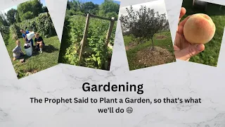 Gardening Information   SD 480p