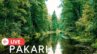 PAKARI - THE BEAUTIFUL SOUND OF NATURE FOR YOUR SOUL