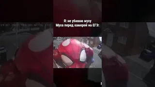 Мемас из тиктока #shorts  #memecon #tiktok #тикток #угар #ржака #мемизтиктока #жиза #прикол #memes