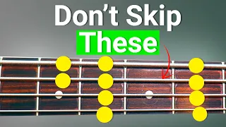 5 Simple Scales Every Bass Player MUST Know!