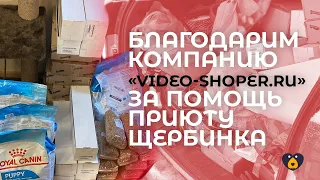 Благодарим компанию «video-shoper.ru» за помощь приюту Щербинка
