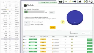 Description pool mining-dutch.nl [multipul sha256]