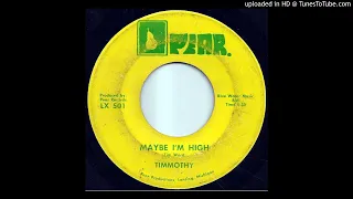 Timmothy "Maybe I'm High" (1972 Pear) Michigan private press psychedelic loner folk [Tim Ward]