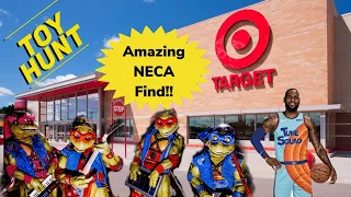 Target Toy Hunt found NECA Ninja Turtles Space Jam Figures hunting