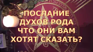 🙏💌ПОСЛАНИЕ ДУХОВ РОДА ЧТО ОНИ ВАМ ХОТЯТ СКАЗАТЬ Таротерапия знаки судьбы #tarot#shorts#gadanie