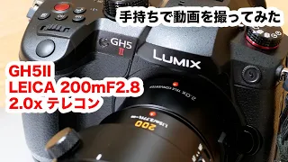 GH5II＋LEICA200mmF2.8＋2.0テレコンで動画を手持ち撮影してみた