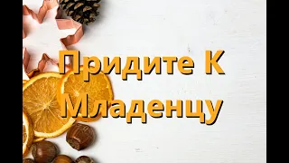 Придите к Младенцу (O Come All Ye Faithful) - Kараоке флейта инструментальный John Wade V4 RuFN