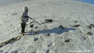 #Охота на зайца-русака. "Трудовой трофей".