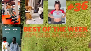 Best of the Week - Лучшее за Неделю #36 Самые смешные видео, фейлы и лучшие приколы тикток 2022