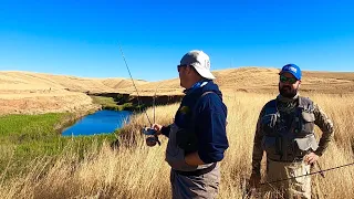 Fly Fishing Australia's Most Unique Trout River!