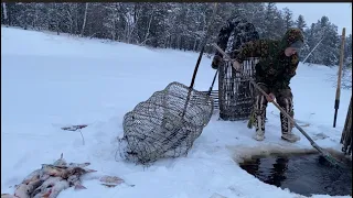 Рыбное озеро! 👀Часть 2. Кормлю оленей рыбой 🦌