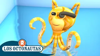 Los Octonautas - El pulpo imitador | Episodios Completos