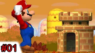 Newer Super Mario Bros. DS Walkthrough - World 1 [100%]