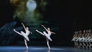 Insights: The Royal Ballet in Rehearsal - Swan Lake