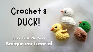 Crochet Duck Tutorial (No Sewing!)