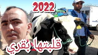 اجي تكتشف ثمن الأبقار في سوق بني وكيل #وجدة #oujda #maroc 🇲🇦 ومعلومات عن البقر الشاروني