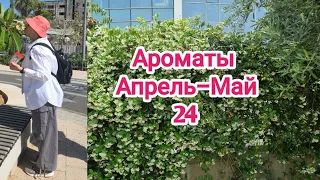 Ароматы за апрель-май 2024 #ksenyanagar #парфюмерия #ароматы #духи #парфюм