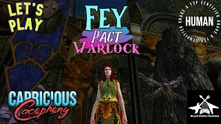 DDO- Fey Pact Warlock- Build and Review