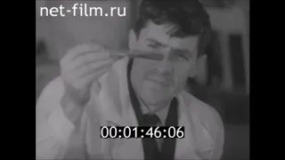 Осетровые заводы СССР 1960-1984 г