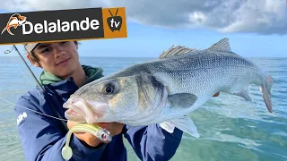 Pêche du Bar aux leurres souples 🎣  Test des nouveautés Delalande pour la Mer (Partie 1/2)