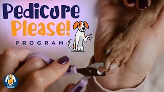 Pedicure Please: 3 Steps To Dog Nail Trimming Or Grooming Success At Home! #107