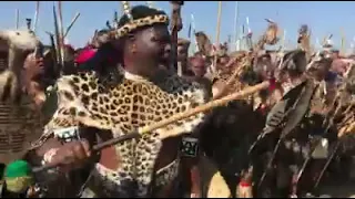 best Zulu warrior Chants