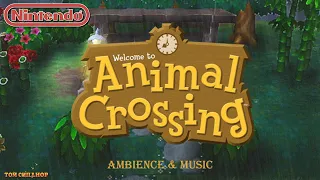 You look tired, I can fix that ... Relaxing nintendo video game music (mostly animal crossing)