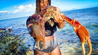 Monster King Crab Catch & Cook On Tiny Remote Island