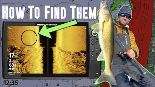 EFFECTIVELY Find Fall Walleyes Using Side Imaging and MEGA 360