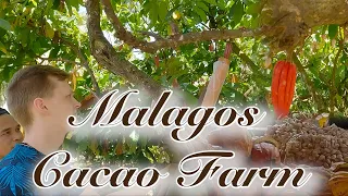 FIRST TIME at Malagos CACAO FARM!😱 Davao - Philippines🇵🇭