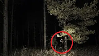 Haunted Forests Hiding Evil Entities