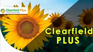 Що таке система Clearfield Plus? Для чого вона потрібна?