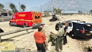 Willy Disastrous Delivery (Malibu Sunset Roleplay)