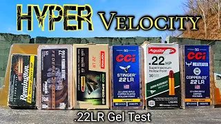 Fastest .22LR Ballistic Gel Test - Hyper Velocity Ammo